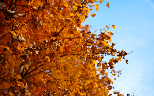 1710871 (a): :2560x1600